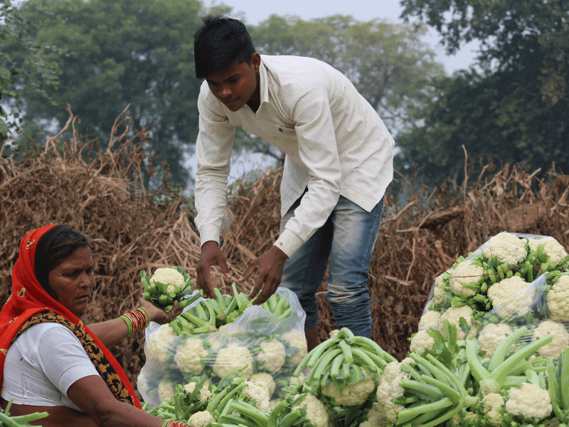 Women Farmer Mahsie Foundation, Manjari Foundation, Rural India